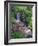 Wildflowers Along Flowing Stream in an Alpine Meadow, Rocky Mountains, Colorado, USA-Christopher Talbot Frank-Framed Photographic Print