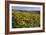 Wildflowers along Hillside, Columbia River Gorge National Scenic Area, Oregon-Craig Tuttle-Framed Photographic Print