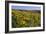 Wildflowers along Hillside, Columbia River Gorge National Scenic Area, Oregon-Craig Tuttle-Framed Photographic Print