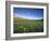 Wildflowers Along Rocky Mountain Front Near Browning, Montana, USA-Chuck Haney-Framed Photographic Print