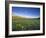 Wildflowers Along Rocky Mountain Front Near Browning, Montana, USA-Chuck Haney-Framed Photographic Print