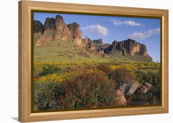 Wildflowers and Cliffs in Desert-DLILLC-Framed Premier Image Canvas