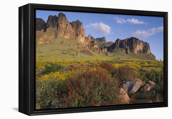 Wildflowers and Cliffs in Desert-DLILLC-Framed Premier Image Canvas