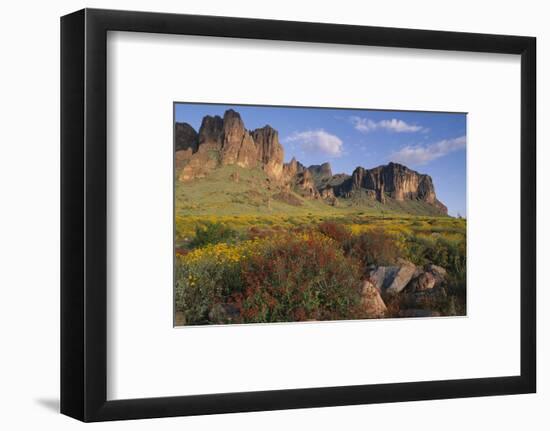 Wildflowers and Cliffs in Desert-DLILLC-Framed Photographic Print