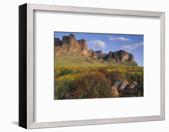 Wildflowers and Cliffs in Desert-DLILLC-Framed Photographic Print