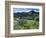 Wildflowers and Lake Catherine, Pioneer Peak, Uinta Wasatch Nf, Utah-Howie Garber-Framed Photographic Print