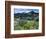 Wildflowers and Lake Catherine, Pioneer Peak, Uinta Wasatch Nf, Utah-Howie Garber-Framed Photographic Print