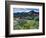 Wildflowers and Lake Catherine, Pioneer Peak, Uinta Wasatch Nf, Utah-Howie Garber-Framed Photographic Print