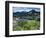 Wildflowers and Lake Catherine, Pioneer Peak, Uinta Wasatch Nf, Utah-Howie Garber-Framed Photographic Print