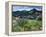 Wildflowers and Lake Catherine, Pioneer Peak, Uinta Wasatch Nf, Utah-Howie Garber-Framed Premier Image Canvas