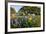 Wildflowers and Live Oak in Texas Hill Country, Texas, USA-Larry Ditto-Framed Photographic Print