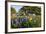 Wildflowers and Live Oak in Texas Hill Country, Texas, USA-Larry Ditto-Framed Photographic Print