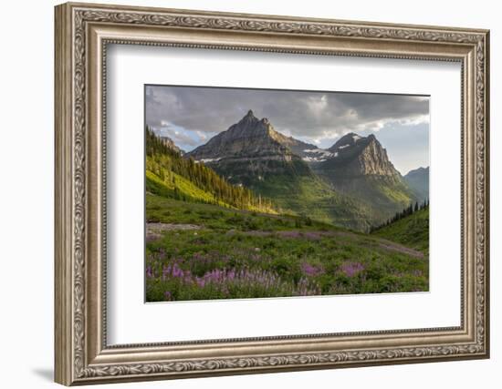 Wildflowers and Mountains. Glacier National Park, Montana, USA.-Tom Norring-Framed Photographic Print