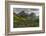 Wildflowers and Mountains. Glacier National Park, Montana, USA.-Tom Norring-Framed Photographic Print