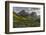 Wildflowers and Mountains. Glacier National Park, Montana, USA.-Tom Norring-Framed Photographic Print