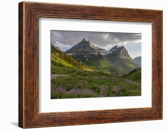 Wildflowers and Mountains. Glacier National Park, Montana, USA.-Tom Norring-Framed Photographic Print