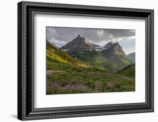 Wildflowers and Mountains. Glacier National Park, Montana, USA.-Tom Norring-Framed Photographic Print