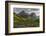 Wildflowers and Mountains. Glacier National Park, Montana, USA.-Tom Norring-Framed Photographic Print