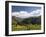 Wildflowers and Mountains Near Cinnamon Pass, Uncompahgre National Forest, Colorado-James Hager-Framed Photographic Print