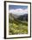 Wildflowers and Mountains Near Cinnamon Pass, Uncompahgre National Forest, Colorado-James Hager-Framed Photographic Print