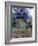 Wildflowers and Sage, Eastern Washington, USA-William Sutton-Framed Photographic Print