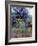 Wildflowers and Sage, Eastern Washington, USA-William Sutton-Framed Photographic Print