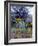 Wildflowers and Sage, Eastern Washington, USA-William Sutton-Framed Photographic Print