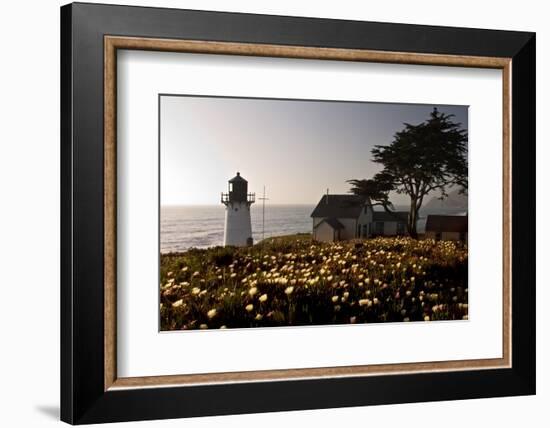 Wildflowers and The Lighthouse-George Oze-Framed Photographic Print