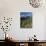 Wildflowers and Valley of 10 Peaks, Banff National Park, Alberta, Canada-Michele Falzone-Photographic Print displayed on a wall