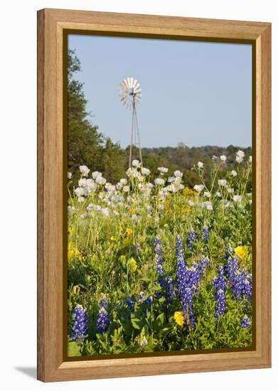 Wildflowers and Windmill in Texas Hill Country, Texas, USA-Larry Ditto-Framed Premier Image Canvas