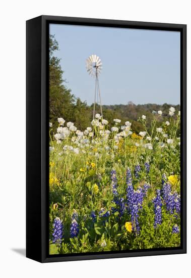 Wildflowers and Windmill in Texas Hill Country, Texas, USA-Larry Ditto-Framed Premier Image Canvas