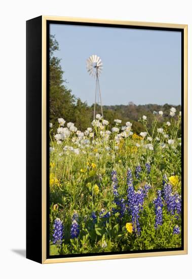Wildflowers and Windmill in Texas Hill Country, Texas, USA-Larry Ditto-Framed Premier Image Canvas