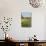 Wildflowers and Windmill in Texas Hill Country, Texas, USA-Larry Ditto-Photographic Print displayed on a wall