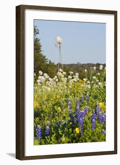 Wildflowers and Windmill in Texas Hill Country, Texas, USA-Larry Ditto-Framed Photographic Print