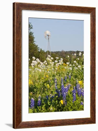 Wildflowers and Windmill in Texas Hill Country, Texas, USA-Larry Ditto-Framed Photographic Print