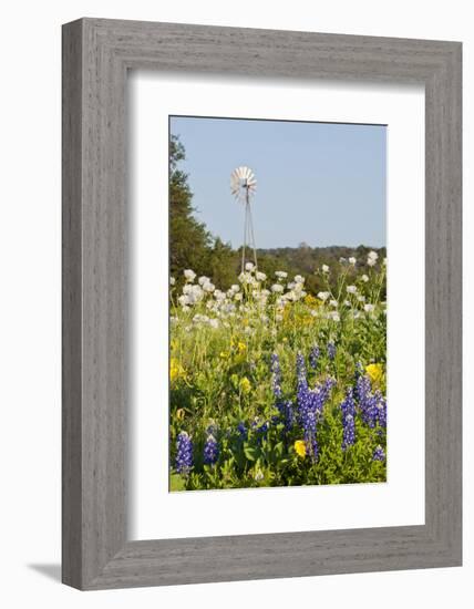 Wildflowers and Windmill in Texas Hill Country, Texas, USA-Larry Ditto-Framed Photographic Print