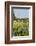 Wildflowers and Windmill in Texas Hill Country, Texas, USA-Larry Ditto-Framed Photographic Print