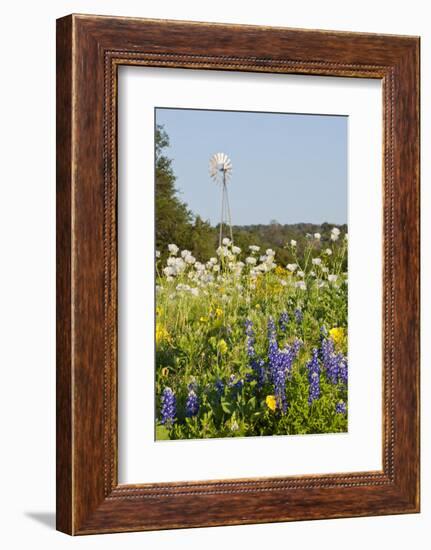 Wildflowers and Windmill in Texas Hill Country, Texas, USA-Larry Ditto-Framed Photographic Print