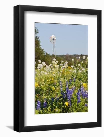 Wildflowers and Windmill in Texas Hill Country, Texas, USA-Larry Ditto-Framed Photographic Print