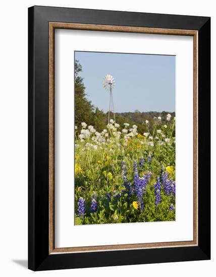 Wildflowers and Windmill in Texas Hill Country, Texas, USA-Larry Ditto-Framed Photographic Print