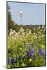 Wildflowers and Windmill in Texas Hill Country, Texas, USA-Larry Ditto-Mounted Photographic Print