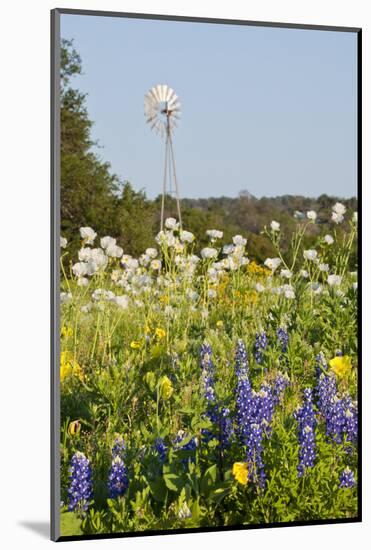 Wildflowers and Windmill in Texas Hill Country, Texas, USA-Larry Ditto-Mounted Photographic Print