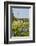 Wildflowers and Windmill in Texas Hill Country, Texas, USA-Larry Ditto-Framed Photographic Print