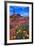Wildflowers at Dead Horse Point-Paul Souders-Framed Photographic Print
