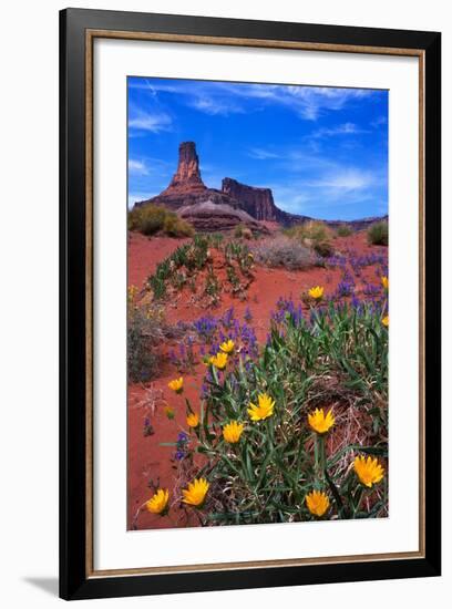 Wildflowers at Dead Horse Point-Paul Souders-Framed Photographic Print