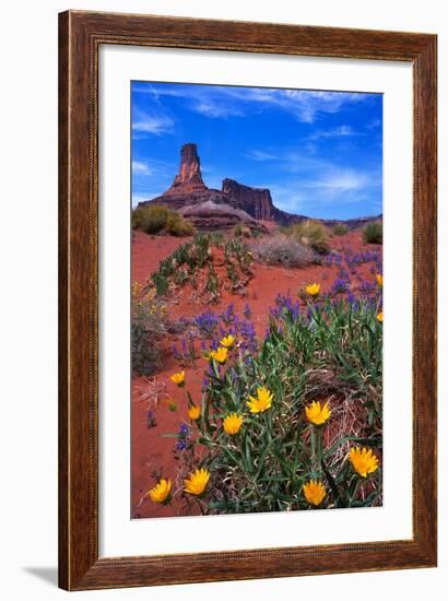 Wildflowers at Dead Horse Point-Paul Souders-Framed Photographic Print