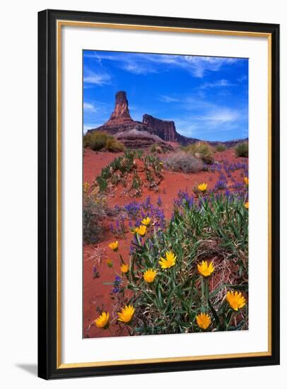 Wildflowers at Dead Horse Point-Paul Souders-Framed Photographic Print