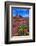 Wildflowers at Dead Horse Point-Paul Souders-Framed Photographic Print