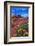 Wildflowers at Dead Horse Point-Paul Souders-Framed Photographic Print