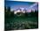 Wildflowers at Mt Rainier, Mt Rainier National Park, Washington State, Usa-null-Mounted Photographic Print